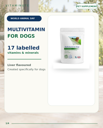 VitaMinute Multivitamin for Dogs — World Animal Day