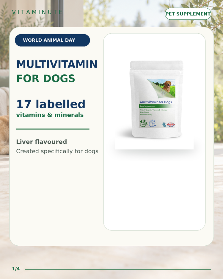 VitaMinute Multivitamin for Dogs — World Animal Day