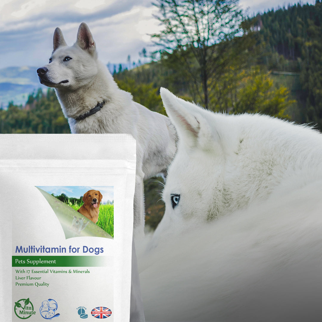 Multivitamin for Dogs, All Daily Essential Vitamins & Minerals Tablets
